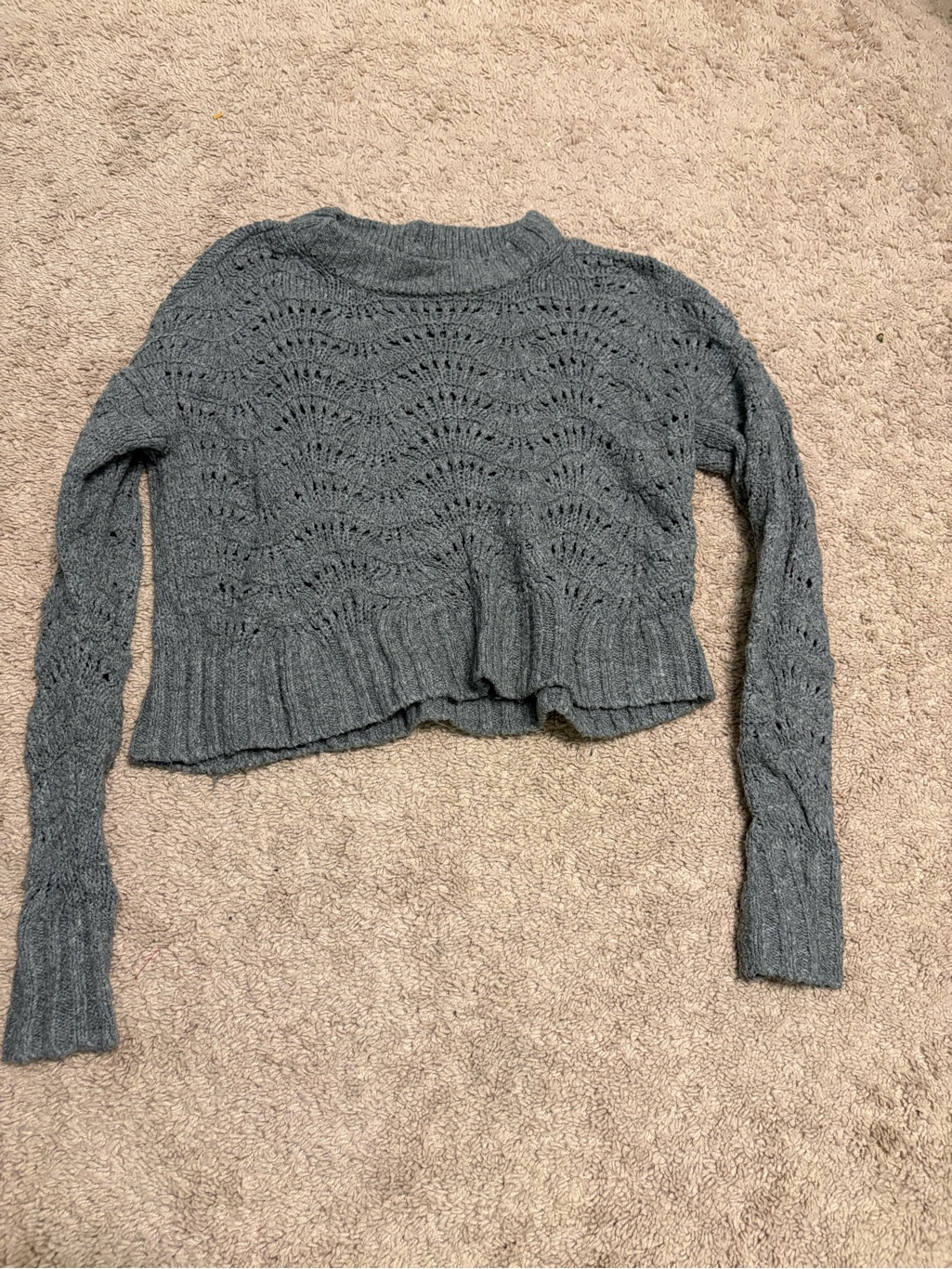 American Eagle Outfitters Gray Open-Knit Cropped Crewneck Sweater